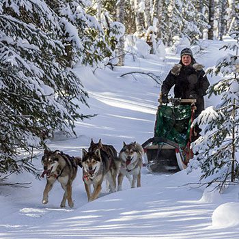 Man guiding a team of sled dogs on a customized adventure trip