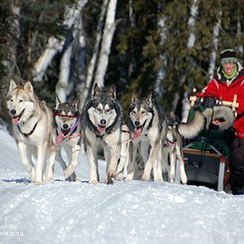 Dog Sledding Experiences - Points Unknown